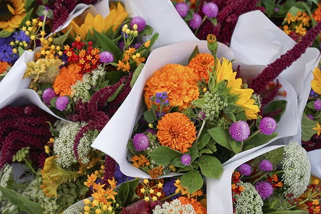 Lutwyche flower delivery